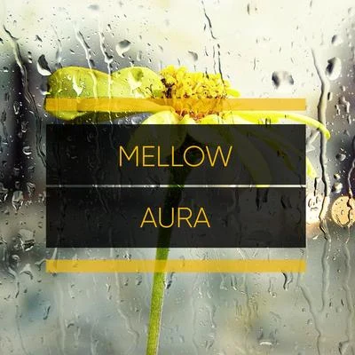 #Mellow Aura 專輯 Rainforest Ambience