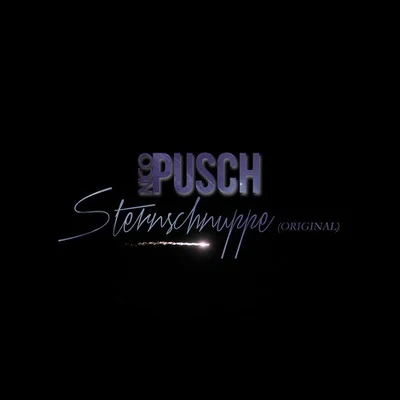 Sternschnuppe 專輯 Nico Pusch