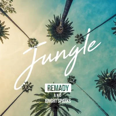 Remady Jungle