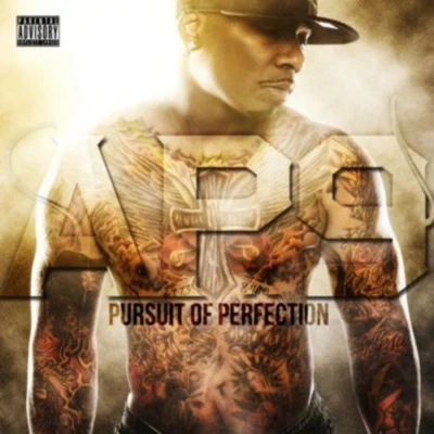 Pursuit Of Perfection 專輯 Scoob Nitty/AP.9