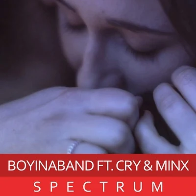 Spectrum Ft. Cry & Minx 专辑 Roomie/PewDiePie/Boyinaband