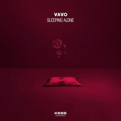 Sleeping Alone 專輯 VAVO/JR Kenna/Team Rush Hour/Nathan Brumley/Shockman