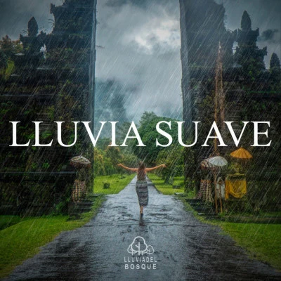 Lluvia Suave 專輯 Lluvia del Bosque/Sueño Profundo Club/Lluvia para Dormir