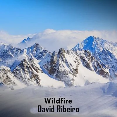 Wildfire 專輯 Robot/David Ribeiro/Fernando Marroni