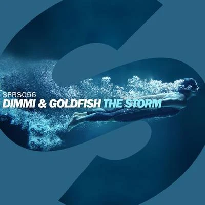 The Storm 專輯 Dimmi