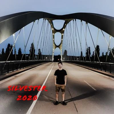 Silvester 2020 (feat. Moly VC) 专辑 David Mayer