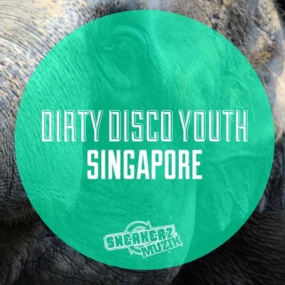 SingaporeZ 专辑 Dirty Disco Youth/Der Polar/Pegase/Knee Deep/Cris Cassara