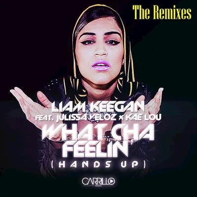 Liam Keegan What Cha Feelin (The Remixes)