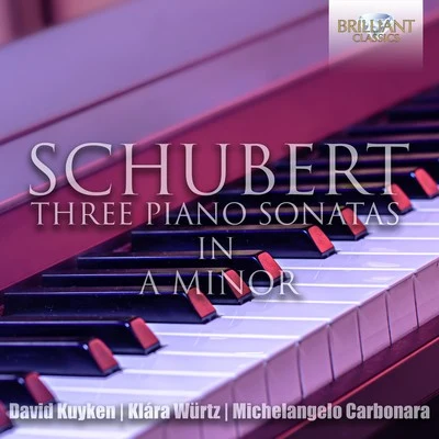 Dirk SchäferDavid KuykenCandida Thompson Schubert: The Three Piano Sonatas in A Minor