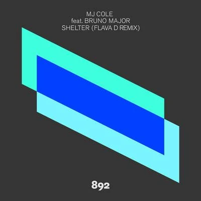 Shelter (Flava D Remix) 專輯 MJ Cole