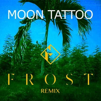 Moon Tattoo (Frost Remix) 专辑 Sofi Tukker