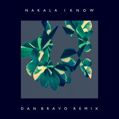 I Know (Dan Bravo Remix) 專輯 Dom Mcallister/Nakala/French Braids