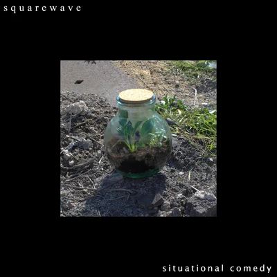 Situational Comedy 专辑 Squarewave