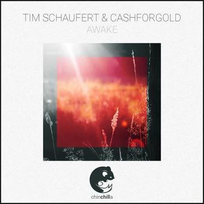 Awake 專輯 Tim Schaufert