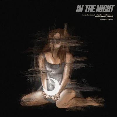 In The Night 專輯 Fly by Midnight