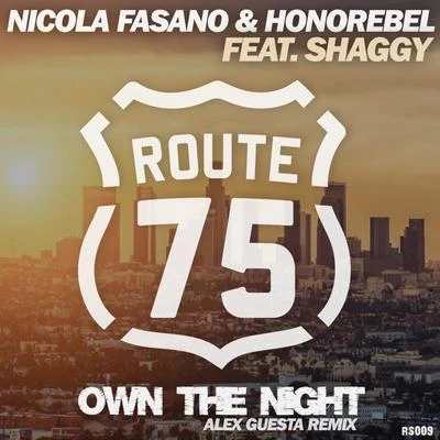 Own The Night (Alex Guesta Tribal Mix) 專輯 Nicola Fasano