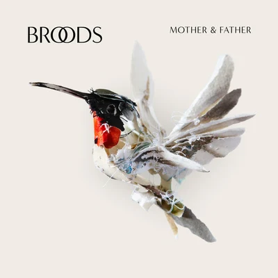 BROODSkito Mother & Father