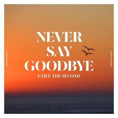 NEVER SAY GOODBYE 專輯 EXILE THE SECOND