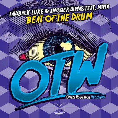 Beat of the Drum 專輯 Laidback Luke