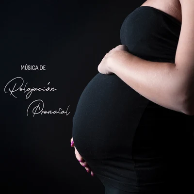 Música de Relajación Prenatal: Sonidos Tranquilos Para Usted Y Su Bebé 專輯 Relajacion Conjunto