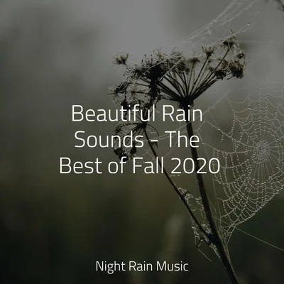 Beautiful Rain Sounds - The Best of Fall 2020 专辑 Nature Recordings