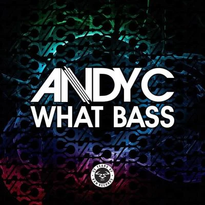 What Bass 專輯 Andy C/Origin Unknown/Ant Miles/Ram Trilogy/Shimon