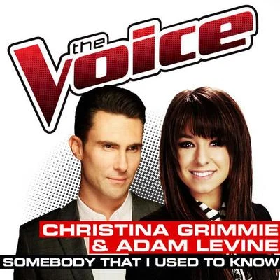 Somebody That I Used To Know (The Voice Performance) 专辑 Christina Grimmie