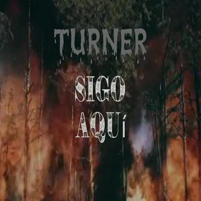 Sigo aquí 專輯 Commercial Breakup/Turner/Arj Snoek/Forever Sweet/Sensorama