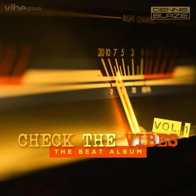 Check The Vibes: Volume 1 專輯 Amber Ryann/Lstreetz/Dennis Blaze