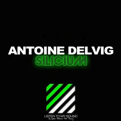 Antoine Delvig Silicium