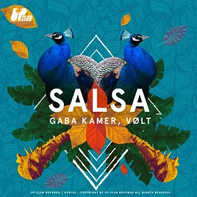 Salsa (Extended Mix) 专辑 Gaba Kamer