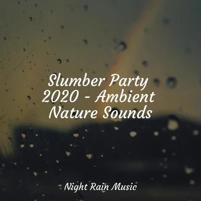 Slumber Party 2020 - Ambient Nature Sounds 專輯 Deep Sleep Music Academy