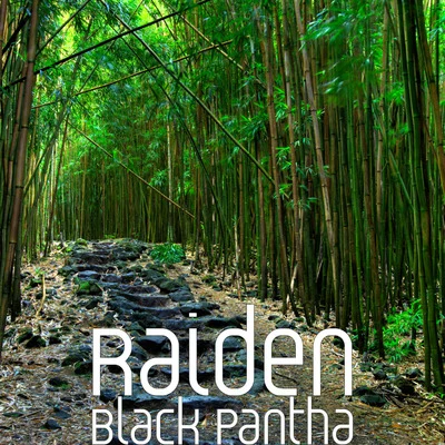 Black Pantha 專輯 Raiden/EXY/BIG Naughty/昭宥