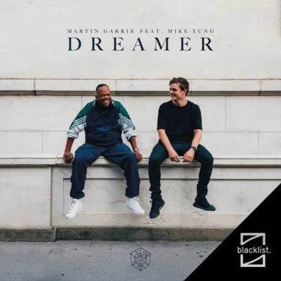 Dreamer (Marvin Vogel TwoWorldsApart Remix) 专辑 Marvin Vogel/Joshua Francois/Feb/Eko/Big Z