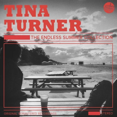 Tina Turner The Endless Summer Collection