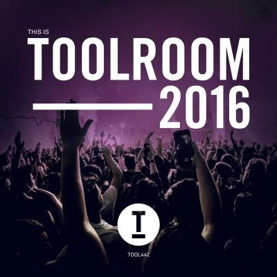 This Is Toolroom 2016 专辑 Physical Therapy