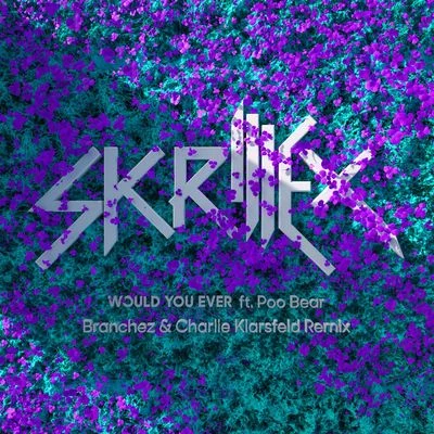 Would You Ever (Branchez Charlie Klarsfeld Remix) 专辑 Branchez/Janine and the Mixtape