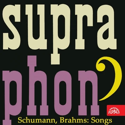 Schumann, Brahms: Songs 專輯 Alfred Holecek/Elisabeth Rutgersová