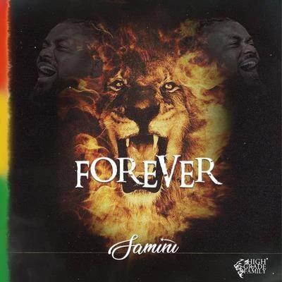 Forever 專輯 Captain Planet 4X4/Samini