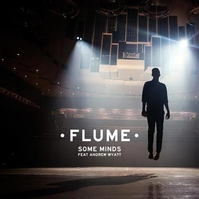 Some Minds (feat. Andrew Wyatt) 專輯 MiXiNiT/CHASRS/Flume