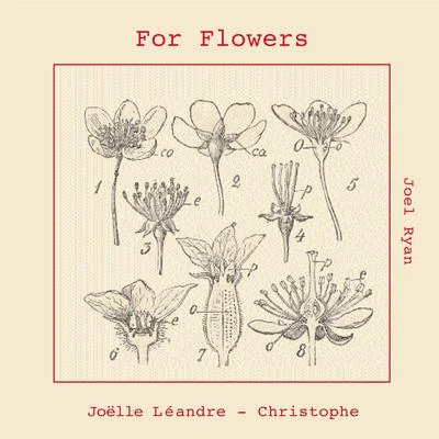 For Flowers 專輯 John Tilbury/Joëlle Léandre/Kevin Norton