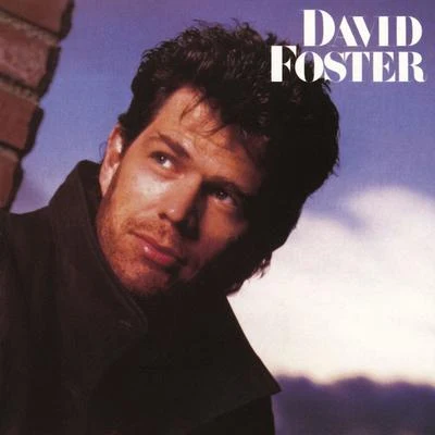 David Foster 專輯 Sing Fire Karaoke/David Foster/Jay Graydon