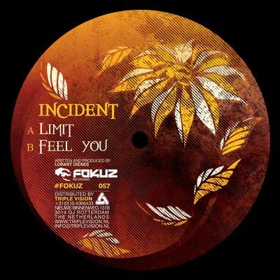 LimitFeel You 專輯 Incident