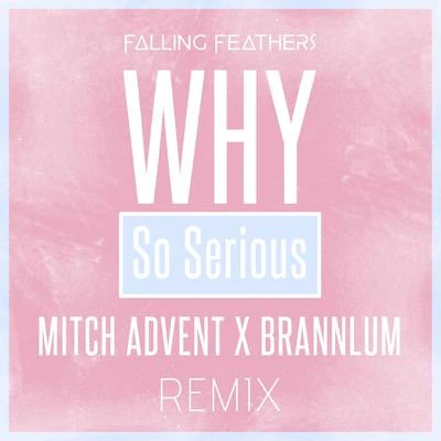 Why So Serious (Mitch Advent & Brannlum Remix) 專輯 Falling Feathers/Amanda Ong/Brannlum