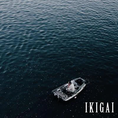 IkigaiX-GANGNippandab Ikigai