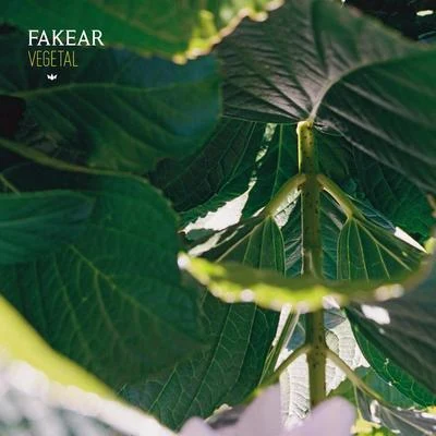 Fakear Vegetal: Offshoots