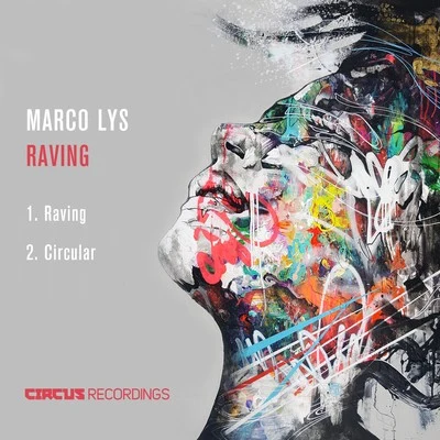 Raving 专辑 Marco Lys/Michael Gray/Plastik Planet