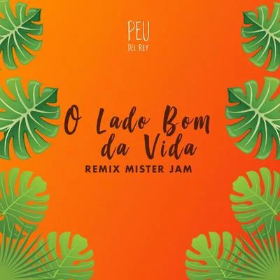 O Lado Bom da Vida (Remix Mister Jam) 專輯 Peu