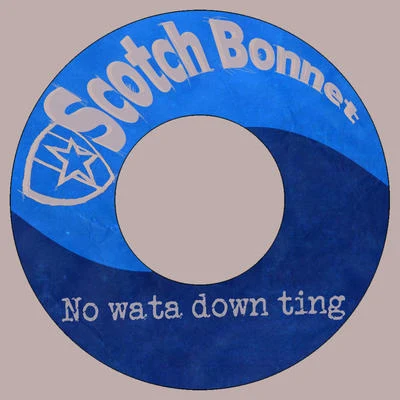 No Wata Down Ting 专辑 Prince Fatty/Mungo's Hi Fi