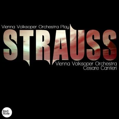 Strauss: Vienna Volksoper Orchestra Play 專輯 Southwest German Radio Symphony Orchestra/Britt Marie Aruhn/Renata Modron/Vienna Volksoper Orchestra/Baden-Baden Symphony Orchestra